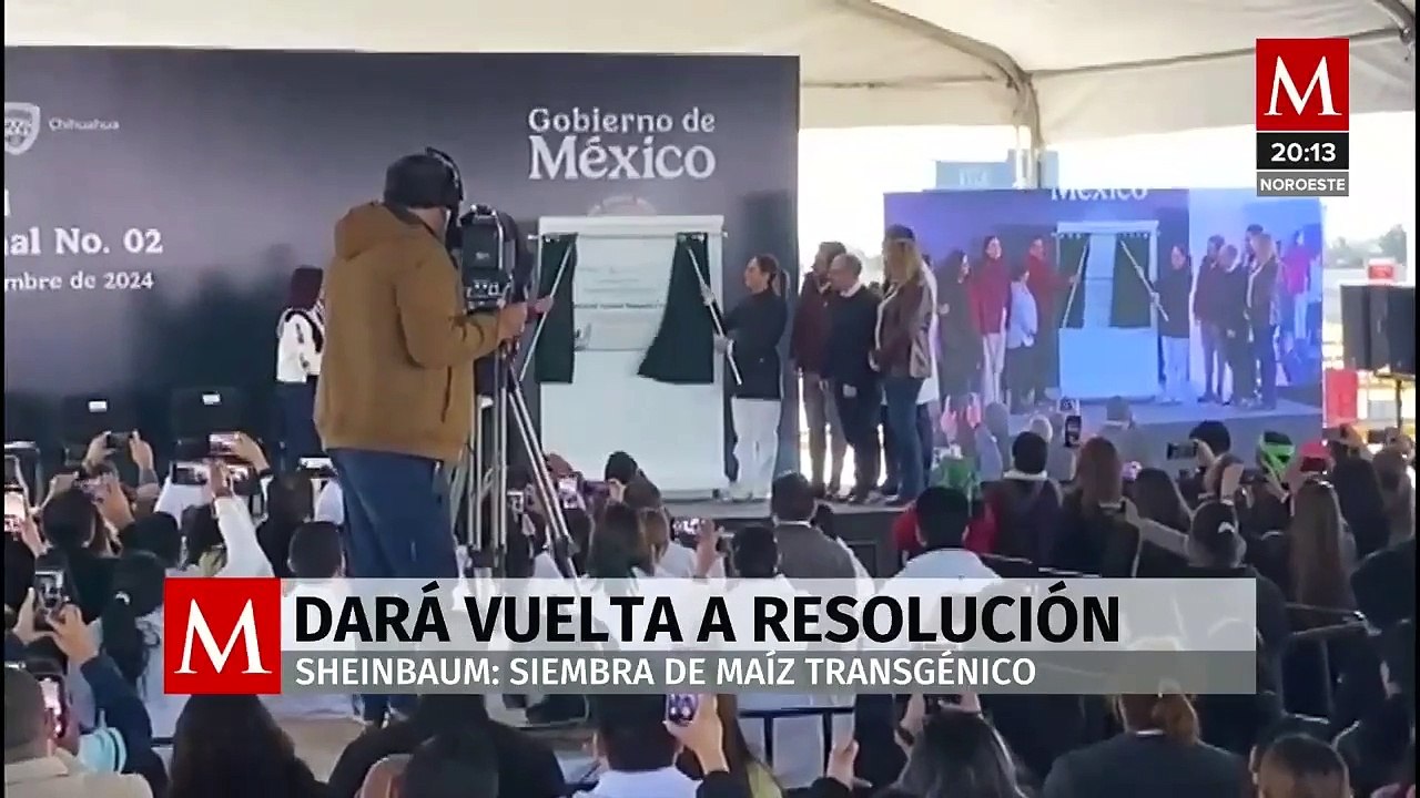 Presidenta Sheinbaum confía en prohibición del maíz transgénico para 2025