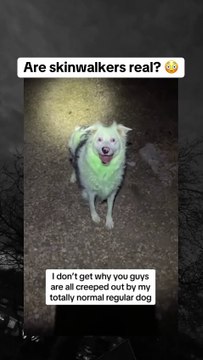 Terrifying Ghost Stories from Haunted Locations! #Scary #Mystery