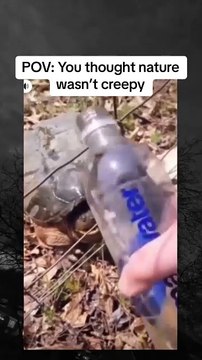 Supernatural Horror Footage That Will Terrify You! #Horror #Scary