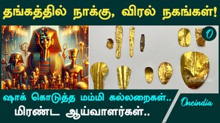 13 Mummies With Gold Tongue And Fake Nails Discovered  | Oneindia Tamil