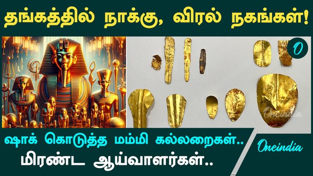 13 Mummies With Gold Tongue And Fake Nails Discovered | Oneindia Tamil