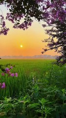 Awe-Inspiring_Nature_Encounters_🌄✨_1