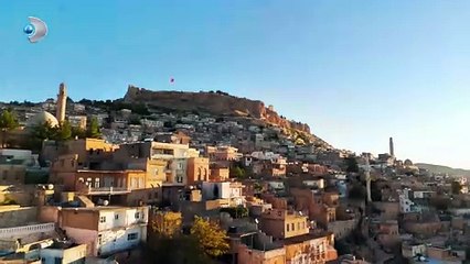 Uzak Şehir'de Alya'nın çalışmasına izin verilecek mi?