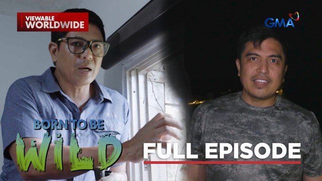 Reticulated python on the loose and a patrol dog for sea turtles (Full Episode) | Born to be Wild