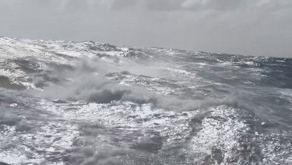 Vendée Globe 2024 / De houle et de sang  Daily Recap - Recap Jour 41