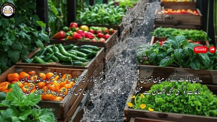 QURANIC STORY | TRIAL OF WEALTH | مال کی آزمائش|INTERESTING  STORY |