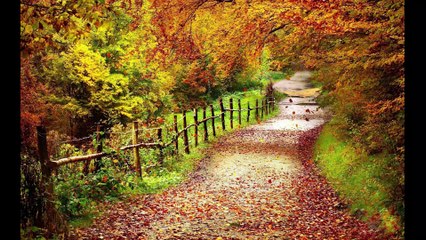 Take me Home, Country Roads cover song by JhonieMaurice