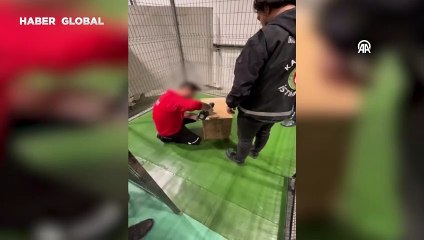 İstanbul Havalimanı'nda yakalandı: Nesli tükenmek üzere...