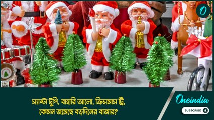 স্যান্টা টুপি, বাহারি আলো, ক্রিসমাস ট্রি, কেমন জমেছে বড়দিনের বাজার?