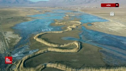 Ağrı'da sulak alanlar buz tuttu