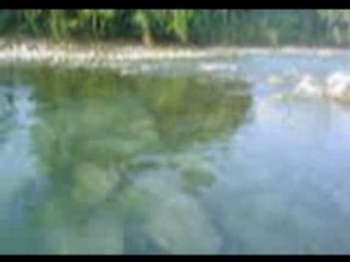 Rio Pichucalco pez diablo