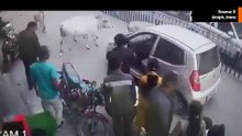 動画：ライガールで感動的な事件、牛たちが車を追跡して挟まれた子牛を救う