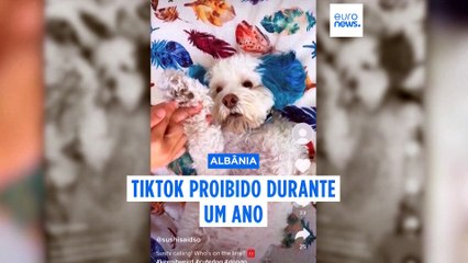 Albânia proibe TikTok durante um ano. A rede social é acusada de incitar à violência e ao bullying entre os jovens