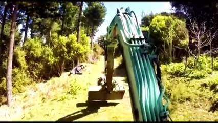 Interesting Animal Moments Caught On Camera  (part 2)#InterestingAnimalMoments