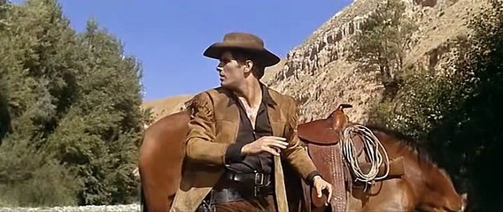 Сбогом, Гринго (1965) бг аудио