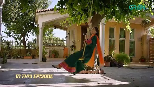 Faraar Episode 06 Hamza Ali Abbasi - Mamya Shajaffar - Ahmed Ali Akbar