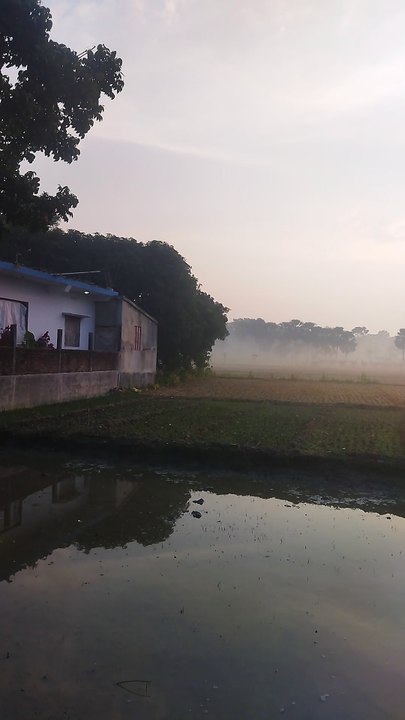 1000022439Gram bangla