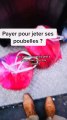 Payer pour jeter des poubelles? ici c’est toutes les deux semaines, c’est trop peu!