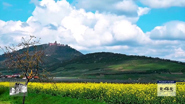 Tips-4-Trips - #Tuyau34 Château du Haut-Koenigsbourg