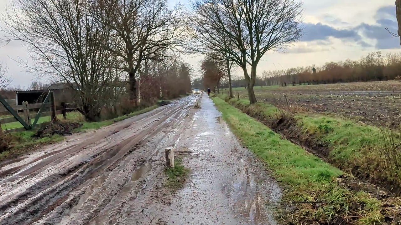 Subaruclub Nederland Veluwerit 22 december 2024