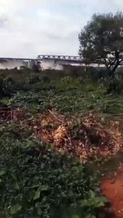Urgente! Ponte que liga Tocantins e Maranhão desaba; assista