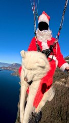 Joyeuse fêtes à tous ! 🌲❄️  Petit vol en parapente avec mon chien Mishka 🐶