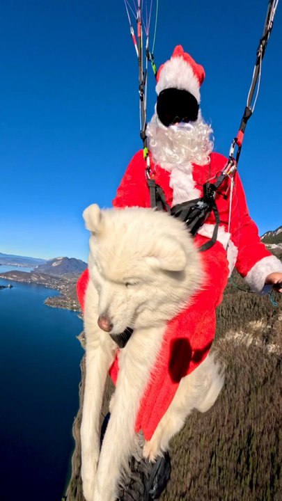 Joyeuse fêtes à tous ! 🌲❄️  Petit vol en parapente avec mon chien Mishka 🐶
