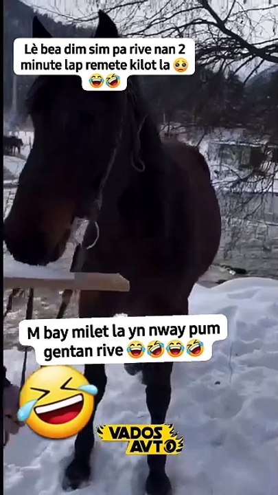 Video de humor, risas y diversión