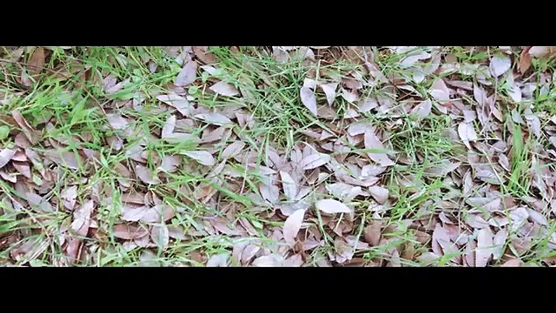 APOCALYPSE LOVE Exclusive Full Sci-Fi Horror Movie Premiere English HD 2024