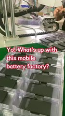 Yo! What's up with this mobile battery factory? I've heard that they've been in this business for 11 years. They can manufacture 95% of the mobile phone batteries in the whole world. Their batteries are of really high quality and are quite affordable in p