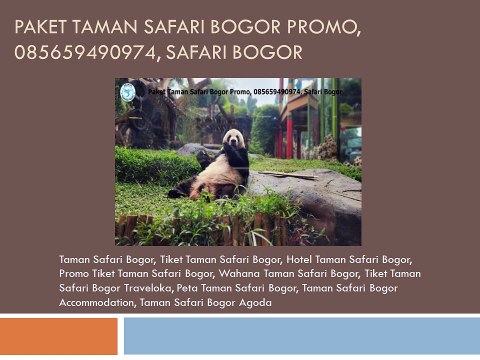 Paket Taman Safari Bogor Promo, 085659490974, Safari Bogor