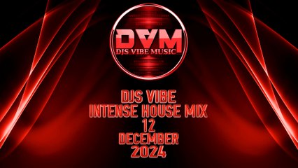 Djs Vibe - Intense House Mix 12 (December 2024)