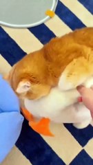 don't touch my pillow