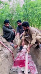 Pani m Rang kyu dala