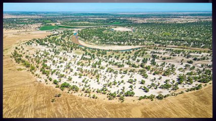 اتمام مشروع الحزام الأخضر في الصين