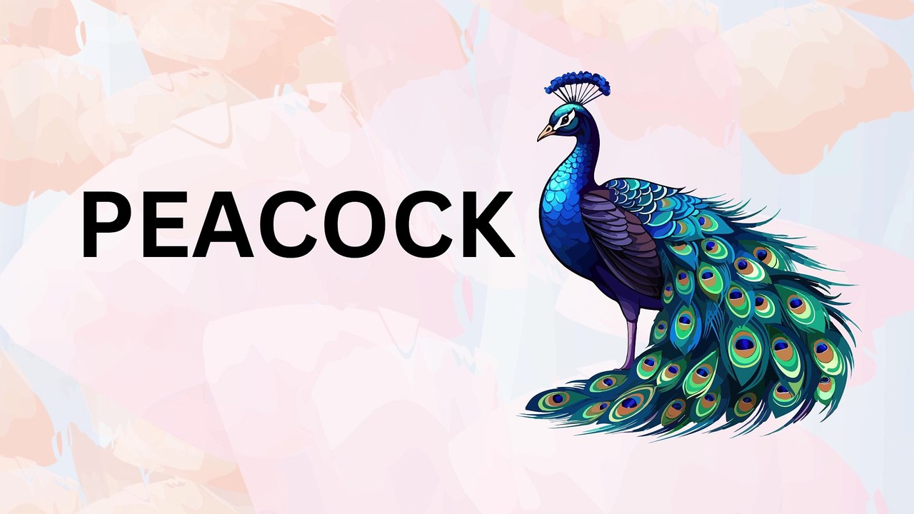 In this engaging video, children will discover the fascinating world of birds through colorful visuals and fun facts.