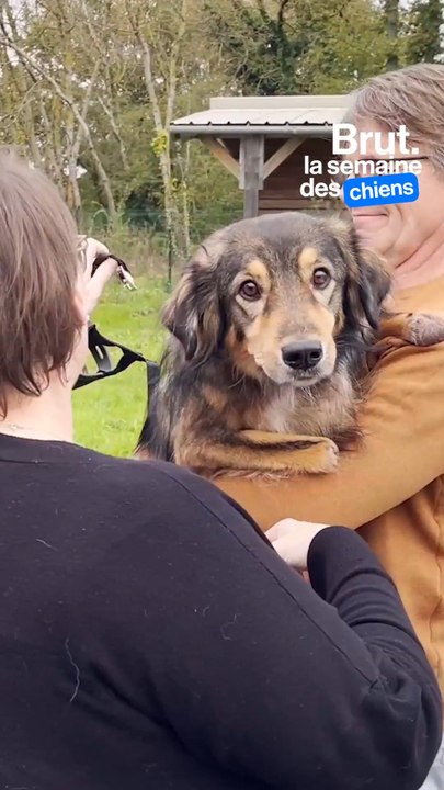 Une nouvelle vie pour Scooby