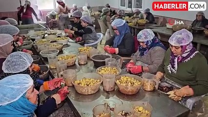 Nazilli'nin Kestane Şekeri, Japonya'nın Vazgeçilmezi Oluyor