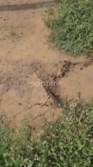 Un hombre graba un vídeo en un puente cuando de repente se empieza a derrumbar