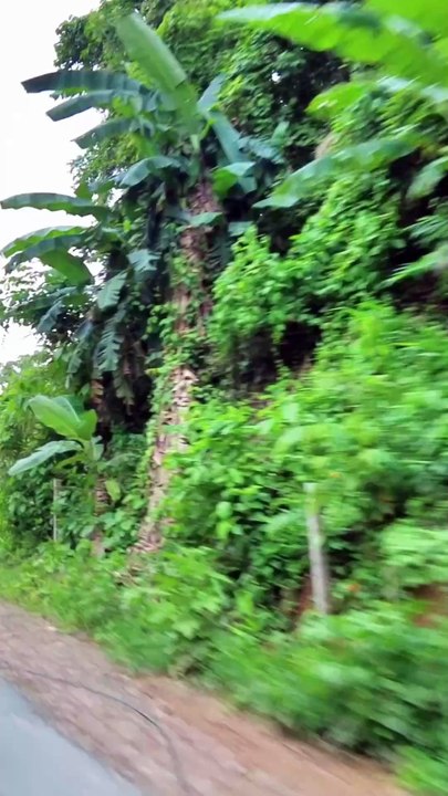 Bathchora View Point (ASMR) 08