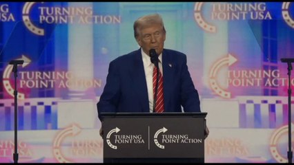 Trump: Musk non sarà mai presidente, non è nato in USA