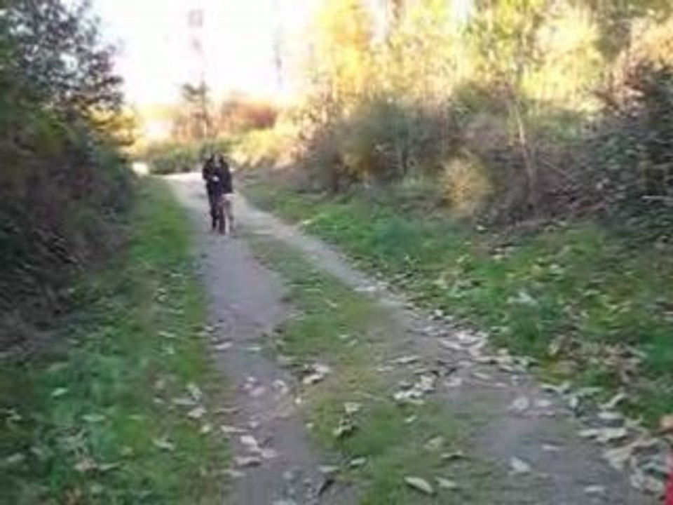 La Désobéissance...