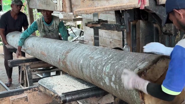 Sawing Wood 2x20 Proper Selection of Sawmill Machine