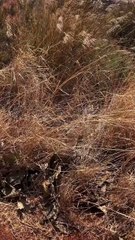 [IG-2025.03.05-stories/vicki_zhaowei]