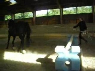 ponpon au saut d'obstacle