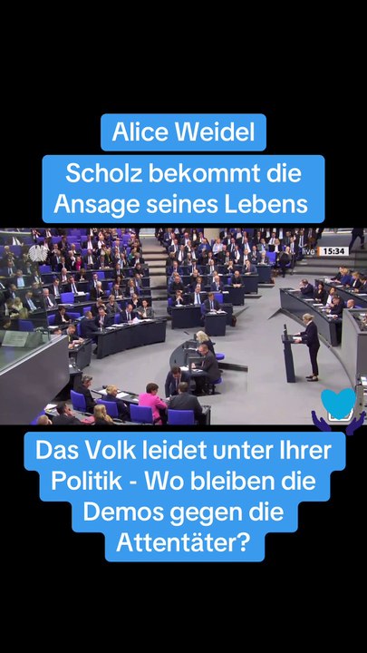 AFD  ansage an CDU und SPD - Alice für Deutschland