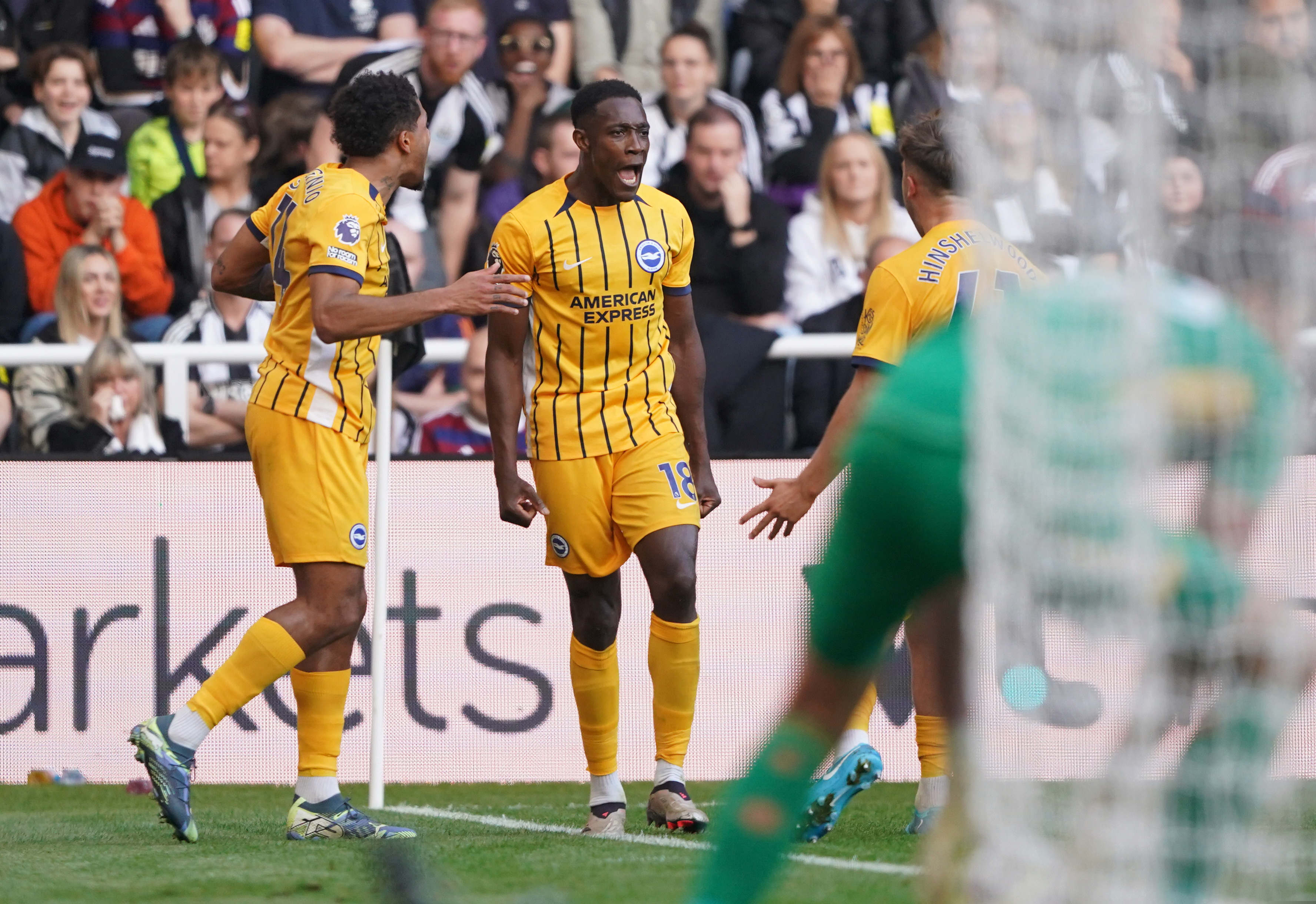 Newcastle 1-2 Brighton | Highlights