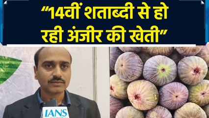 Purandar Figs को मिला GI Tag, PM Modi ने की किसानों की सराहना