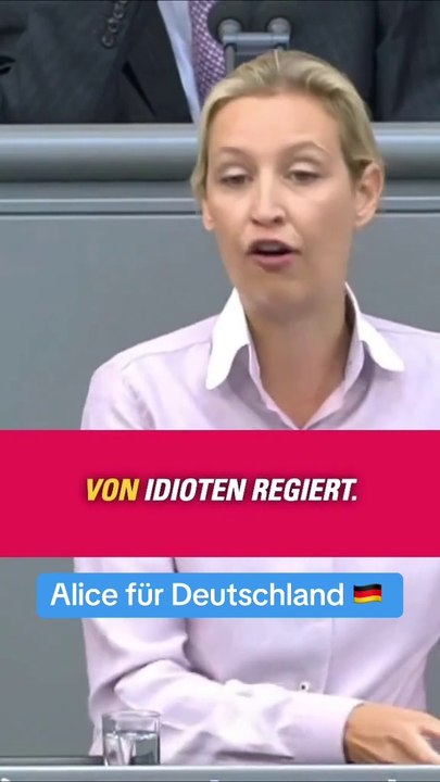 AFD zur Illegalen Grenzüberschreitung - Alice für Deutschland