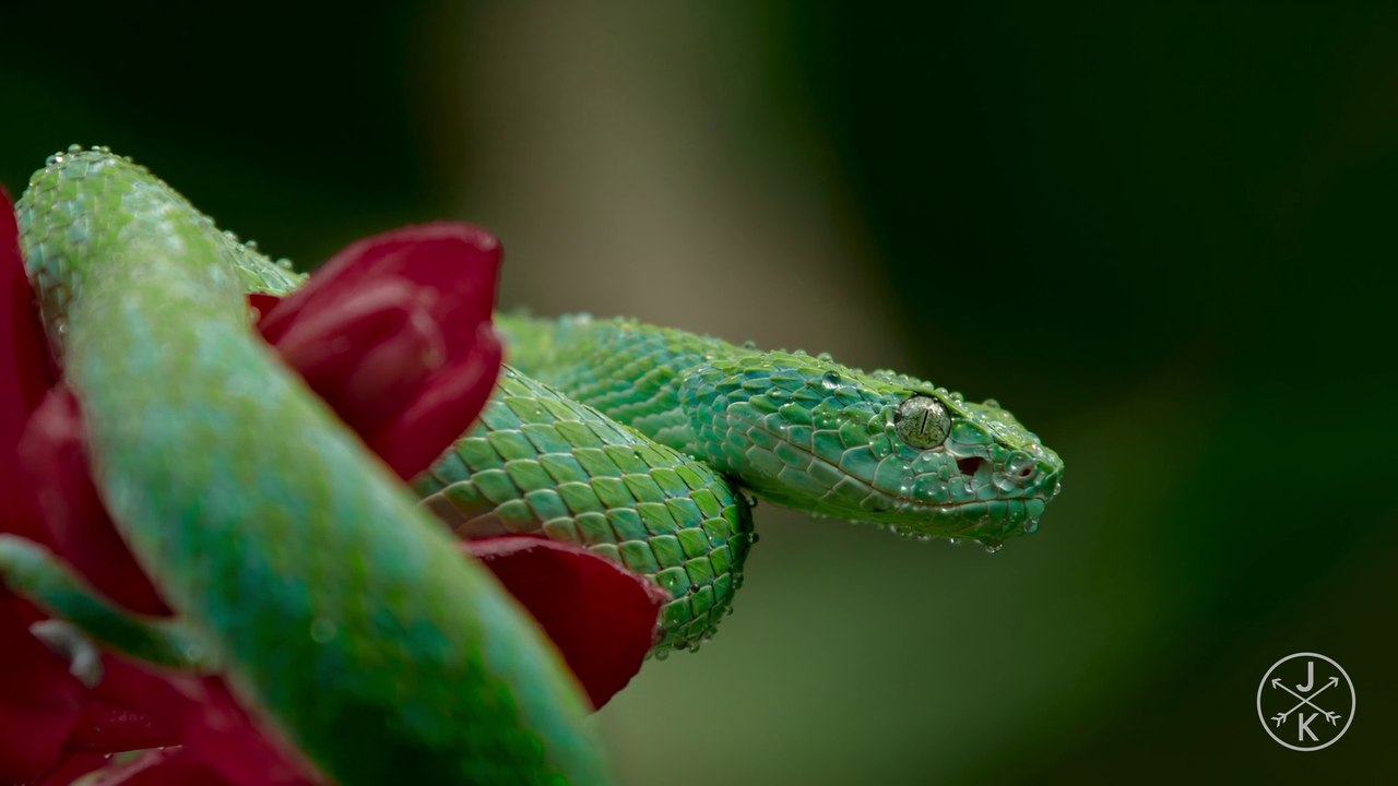 COSTA RICA IN 4K 60fps HDR (ULTRA HD) #CostaRica #DroneShots #RelaxingMusic #NatureVideo #Beautiful #UltraHD #Travel